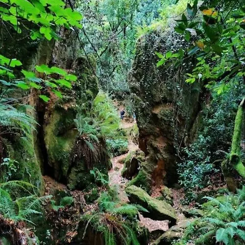 Bonito Piso En Solares, Entre Valles Pasiegos Y Playas Apartment Entrambasaguas (Entrambasaguas)